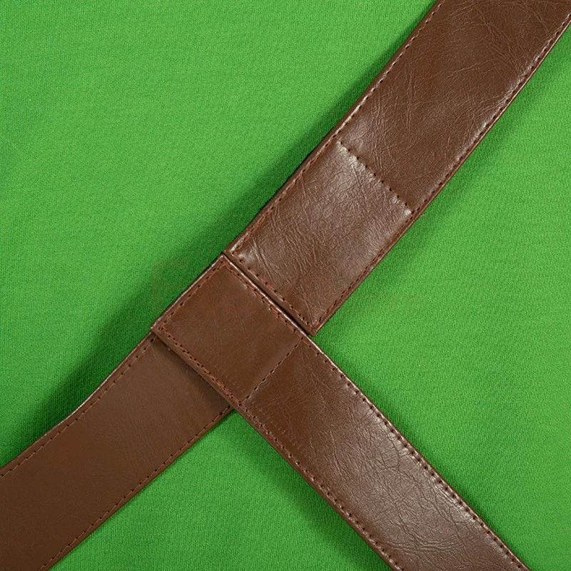 Etaya The Legend Of Zelda Cosplay Suit Skyward Sword Link Cosplay Costumes - Image 13