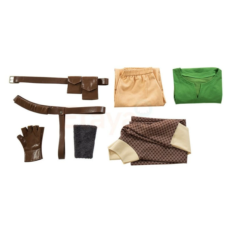 Etaya The Legend Of Zelda Cosplay Suit Skyward Sword Link Cosplay Costumes - Image 21